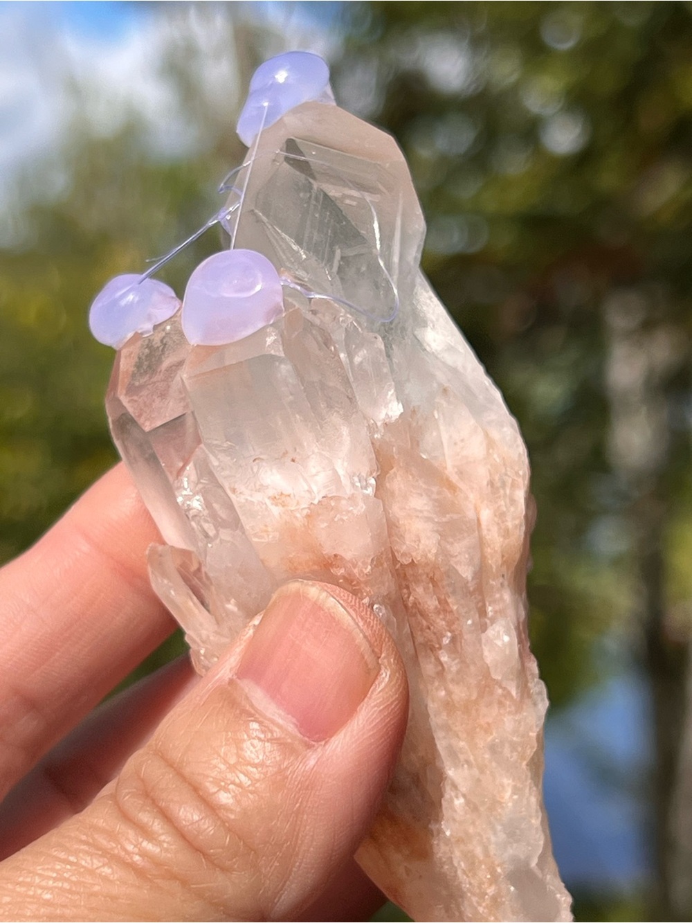 Pink (6) lemurian Quartz cluster | crystal